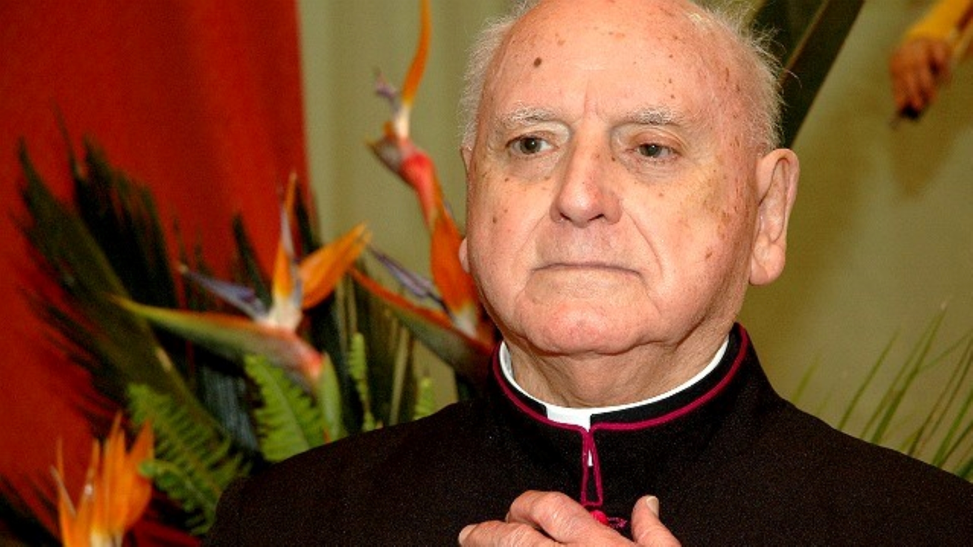 Fundação Mater Dei assinala 10.º aniversário do falecimento de monsenhor Júlio da Rosa