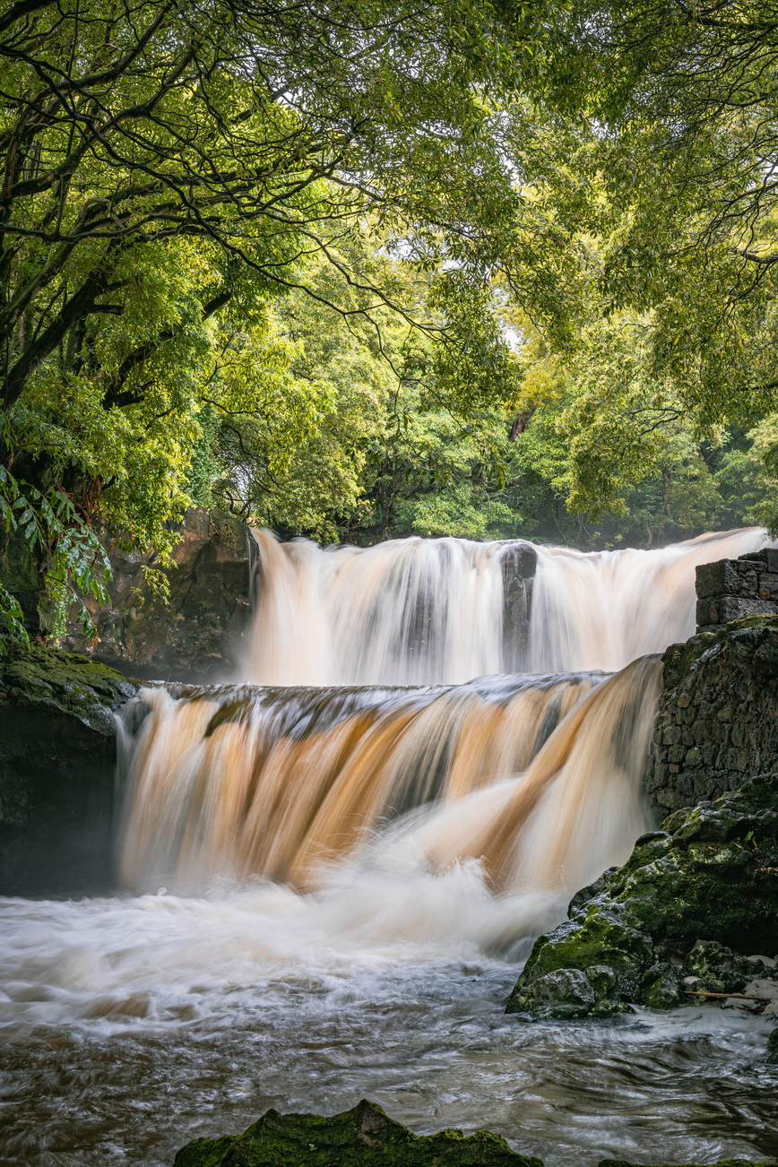 Ribeira de Pedro Miguel, por Pedro Taborda